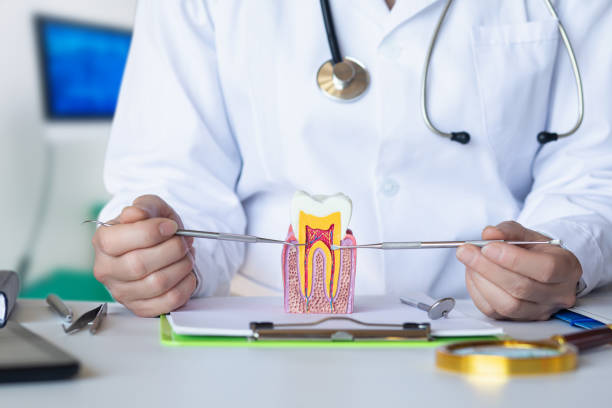 Best Pediatric Emergency Dentist in Fairview, TN